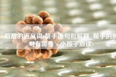后盾的近义词(帮手造句和解释_帮手的例句有哪些 - 小孩子点读)