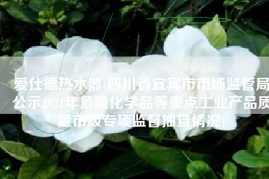 爱仕德热水器(四川省宜宾市市场监管局公示2021年危险化学品等重点工业产品质量市级专项监督抽查情况)