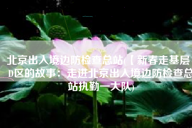 北京出入境边防检查总站(【新春走基层】D区的故事：走进北京出入境边防检查总站执勤一大队)