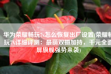 华为荣耀畅玩7x怎么恢复出厂设置(荣耀畅玩7X详细评测：最萌双摄加持，千元全面屏旗舰强势来袭)