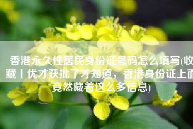 香港永久性居民身份证号码怎么填写(收藏丨优才获批了才知道，香港身份证上面竟然藏着这么多信息)