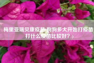 梅里亚瑞贝康疫苗(狗狗多大开始打疫苗，打什么疫苗比较好？)