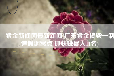 紫金新闻网最新新闻(广东紫金捣毁一制造假烟窝点 抓获嫌疑人11名)