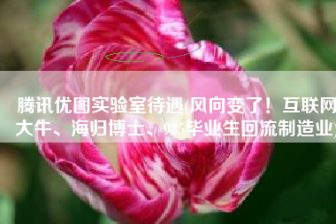 腾讯优图实验室待遇(风向变了！互联网大牛、海归博士、985毕业生回流制造业)