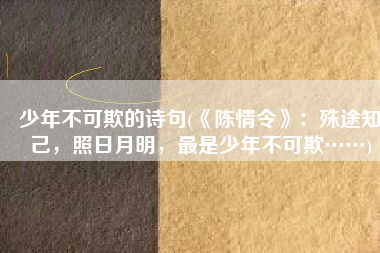 少年不可欺的诗句(《陈情令》：殊途知己，照日月明，最是少年不可欺……)