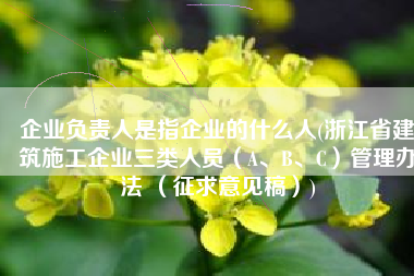 企业负责人是指企业的什么人(浙江省建筑施工企业三类人员（A、B、C）管理办法 （征求意见稿）)
