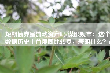 短期债券是流动资产吗(谋眼观市：这个数据历史上首度同比转负，表明什么？)