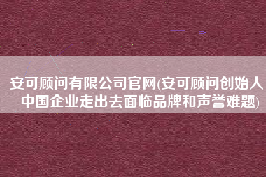 安可顾问有限公司官网(安可顾问创始人：中国企业走出去面临品牌和声誉难题)