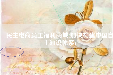 民生电商员工福利商城(加快构建中国自主知识体系)