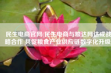 民生电商官网(民生电商与粮达网达成战略合作 共促粮食产业供应链数字化升级)