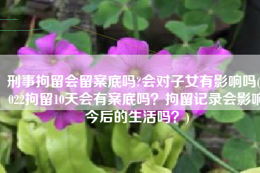 刑事拘留会留案底吗?会对子女有影响吗(2022拘留10天会有案底吗？拘留记录会影响今后的生活吗？)