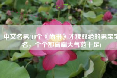 中文名男(10个《尚书》才貌双绝的男宝宝名，个个都高端大气范十足)