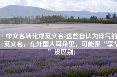 中文名转化成英文名(这些自认为洋气的英文名，在外国人耳朵里，可能跟“李华”没区别)