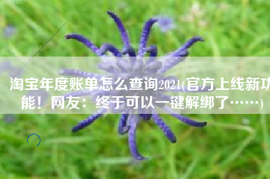 淘宝年度账单怎么查询2021(官方上线新功能！网友：终于可以一键解绑了……)