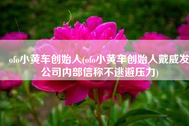 ofo小黄车创始人(ofo小黄车创始人戴威发公司内部信称不逃避压力)