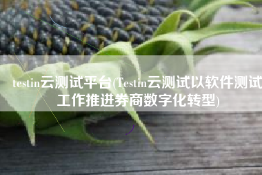 testin云测试平台(Testin云测试以软件测试工作推进券商数字化转型)