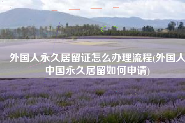 外国人永久居留证怎么办理流程(外国人中国永久居留如何申请)