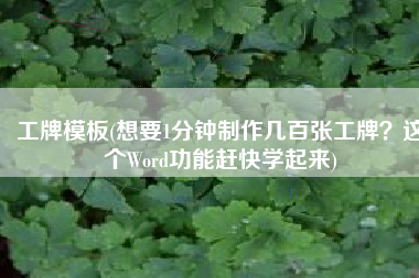 工牌模板(想要1分钟制作几百张工牌？这个Word功能赶快学起来)