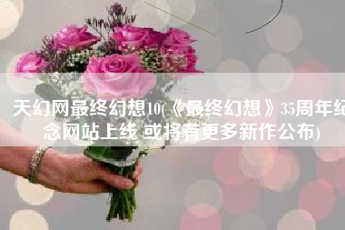 天幻网最终幻想10(《最终幻想》35周年纪念网站上线 或将有更多新作公布)