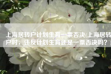 上海居转户计划生育一票否决(上海居转户时，违反计划生育还是一票否决吗？)