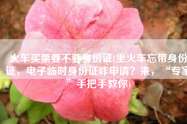 火车买票要不要身份证(坐火车忘带身份证，电子临时身份证咋申请？来，“专家”手把手教你)