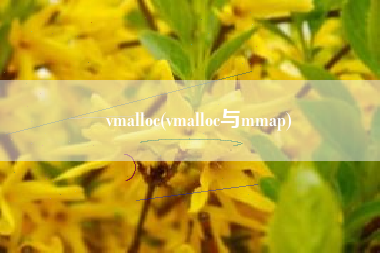 vmalloc(vmalloc与mmap)
