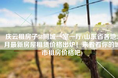 庆云租房子58同城一室一厅(山东省各地2月最新房屋租赁价格出炉！来看看你的城市租房价格吧)