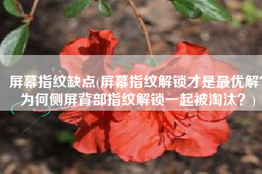 屏幕指纹缺点(屏幕指纹解锁才是最优解？为何侧屏背部指纹解锁一起被淘汰？)