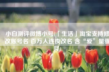 小白测评微博小号(「生活」淘宝支持修改账号名 百万人连夜改名 含“爱”量骤降)