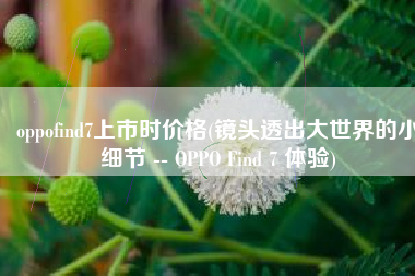 oppofind7上市时价格(镜头透出大世界的小细节 -- OPPO Find 7 体验)