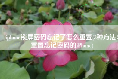 iphone锁屏密码忘记了怎么重置(3种方法：重置忘记密码的iPhone)