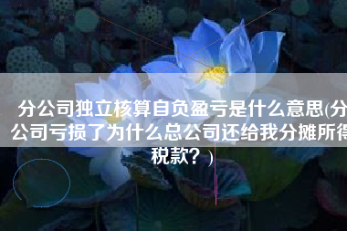 分公司独立核算自负盈亏是什么意思(分公司亏损了为什么总公司还给我分摊所得税款？)