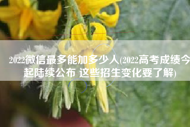 2022微信最多能加多少人(2022高考成绩今起陆续公布 这些招生变化要了解)