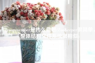 groupmember是什么意思(ZooKeeper很简单，整体结构文件系统很相似)
