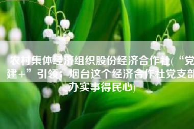 农村集体经济组织股份经济合作社(“党建+”引领：烟台这个经济合作社党支部办实事得民心)