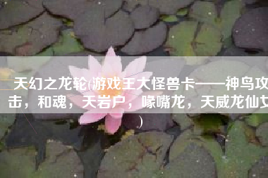 天幻之龙轮(游戏王大怪兽卡——神鸟攻击，和魂，天岩户，喙嘴龙，天威龙仙女)