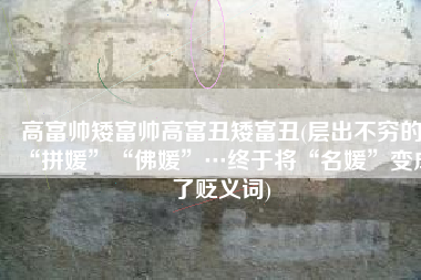 高富帅矮富帅高富丑矮富丑(层出不穷的“拼媛”“佛媛”…终于将“名媛”变成了贬义词)