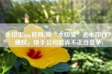 水印宝app官网(称“水印宝”去水印行为侵权，快手公司起诉不正当竞争)