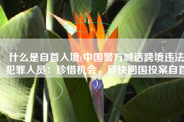 什么是自首入境(中国警方喊话跨境违法犯罪人员：珍惜机会，尽快回国投案自首)