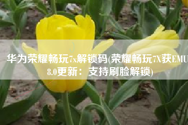 华为荣耀畅玩7x解锁码(荣耀畅玩7X获EMUI 8.0更新：支持刷脸解锁)