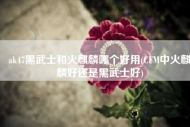 ak47黑武士和火麒麟哪个好用(CFM中火麒麟好还是黑武士好)