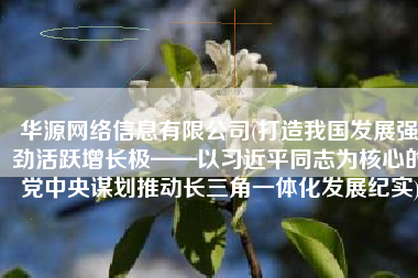 华源网络信息有限公司(打造我国发展强劲活跃增长极——以习近平同志为核心的党中央谋划推动长三角一体化发展纪实)