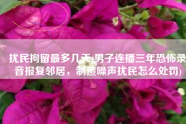 扰民拘留最多几天(男子连播三年恐怖录音报复邻居，制造噪声扰民怎么处罚)