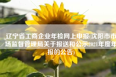 辽宁省工商企业年检网上申报(沈阳市市场监督管理局关于报送和公示2021年度年报的公告)