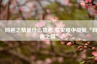 同袍之情是什么意思(在灾难中凝聚“同袍之情”)