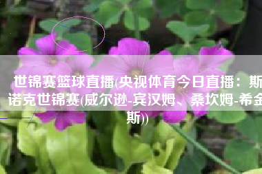 世锦赛篮球直播(央视体育今日直播：斯诺克世锦赛(威尔逊-宾汉姆、桑坎姆-希金斯))