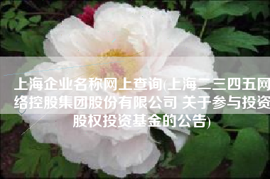 上海企业名称网上查询(上海二三四五网络控股集团股份有限公司 关于参与投资股权投资基金的公告)