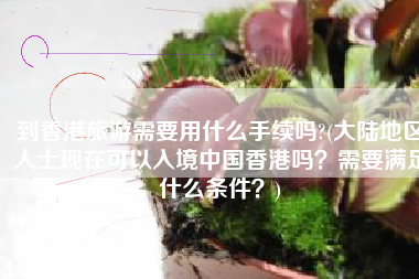 到香港旅游需要用什么手续吗?(大陆地区人士现在可以入境中国香港吗？需要满足什么条件？)