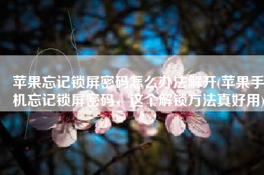 苹果忘记锁屏密码怎么办法解开(苹果手机忘记锁屏密码，这个解锁方法真好用)