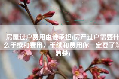 房屋过户费用由谁承担(房产过户需要什么手续和费用，手续和费用你一定要了解清楚)